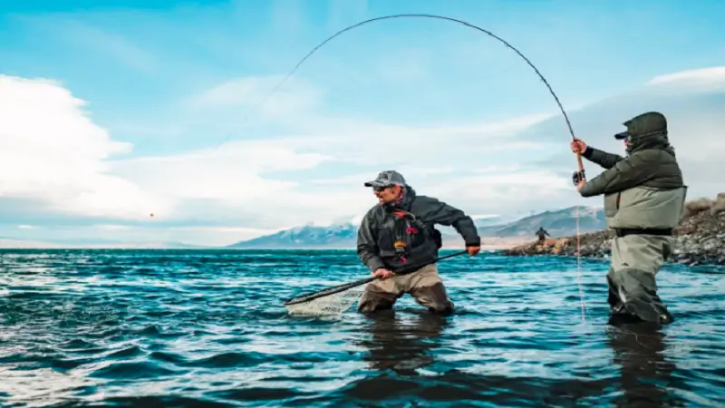 Fishing Guides ThunderontheGulf: Tips, Benefits, and Local Expertise